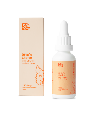 CBD Oil for Large Pets